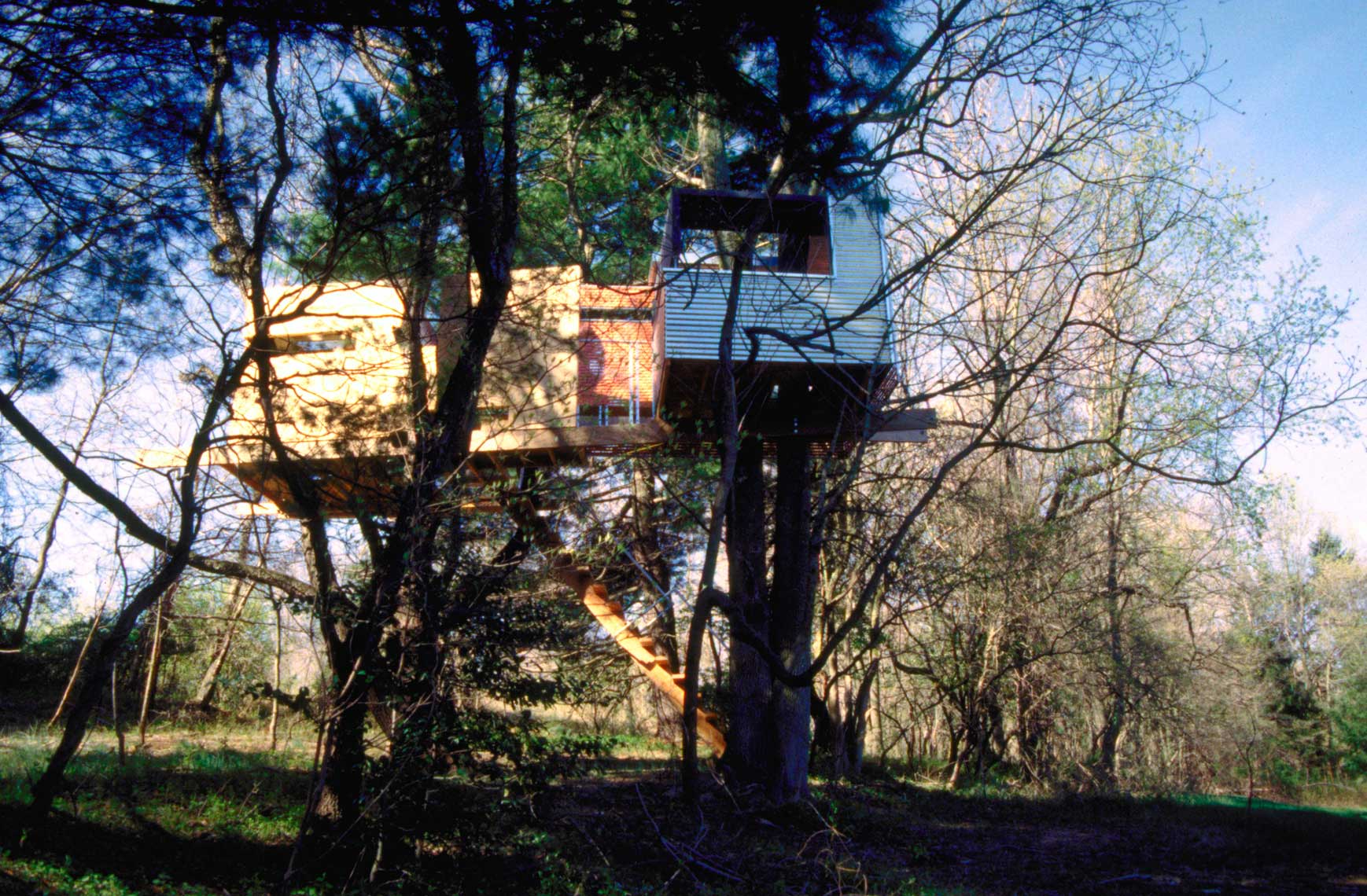 tree-house-9.jpg