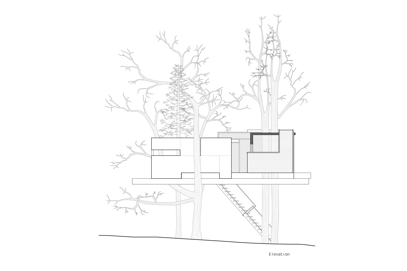 treehouse-elev-DUP.jpg