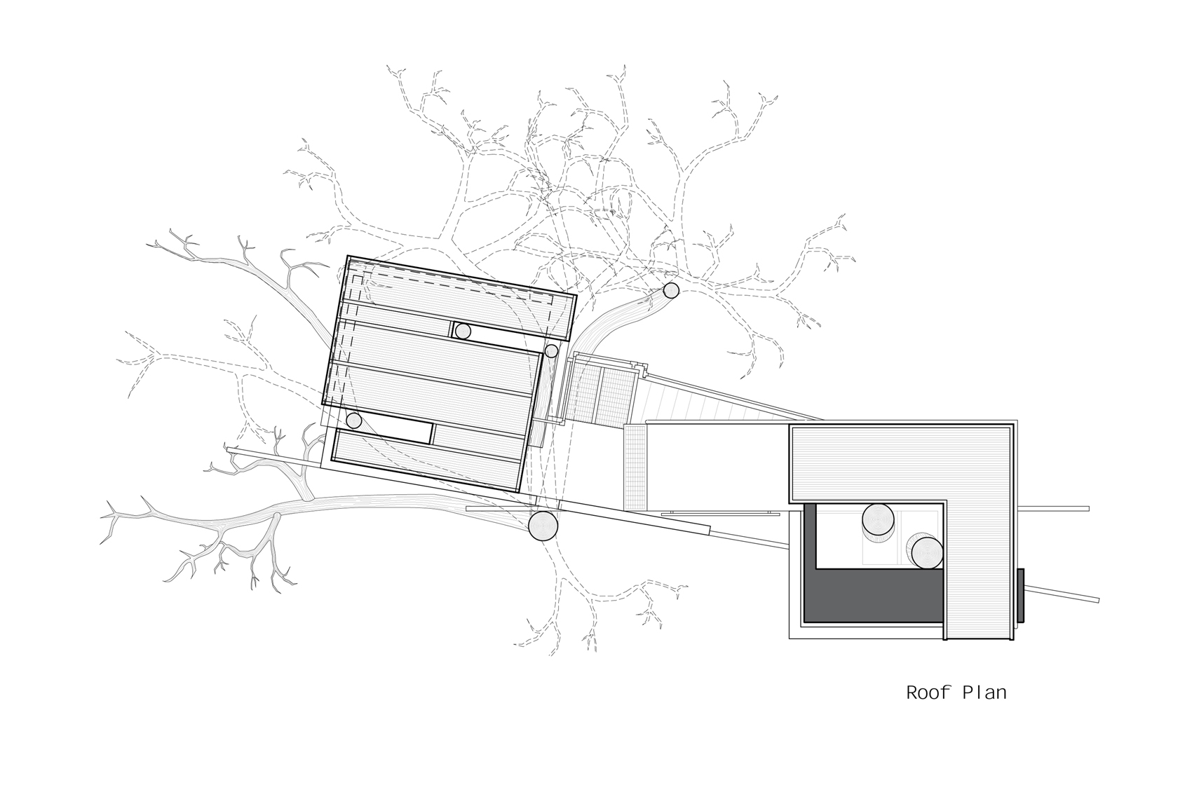 treehouse-roofplan-DUP.jpg